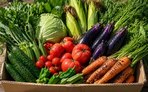 産直の旬野菜ボックス