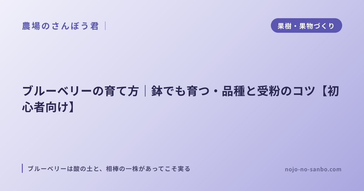 ブルーベリーの育て方｜鉢でも育つ・品種と受粉のコツ【初心者向け】