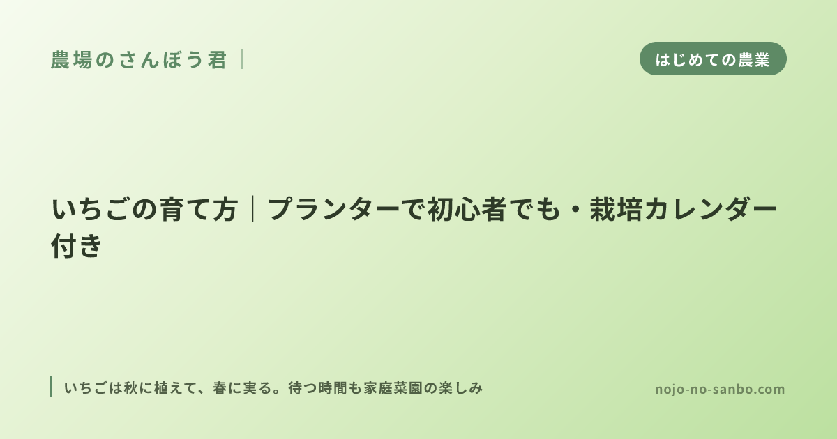 いちごの育て方｜プランターで初心者でも・栽培カレンダー付き