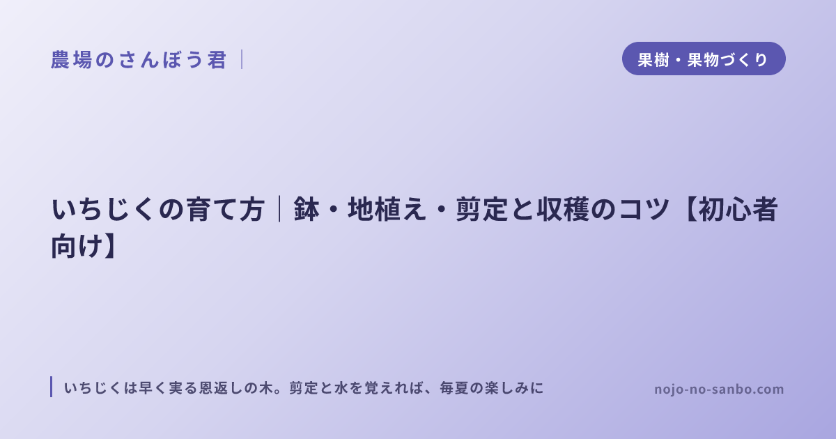 いちじくの育て方｜鉢・地植え・剪定と収穫のコツ【初心者向け】