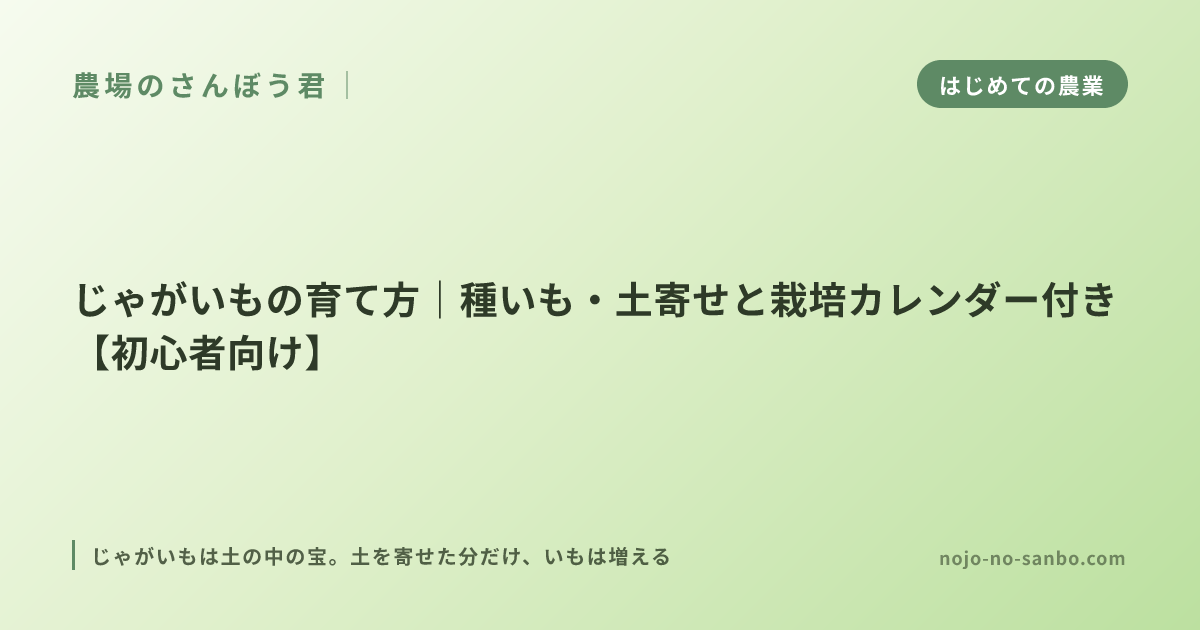 じゃがいもの育て方｜種いも・土寄せと栽培カレンダー付き【初心者向け】