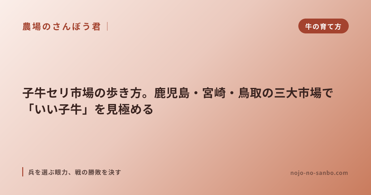 子牛セリ市場の歩き方。鹿児島・宮崎・鳥取の三大市場で「いい子牛」を見極める