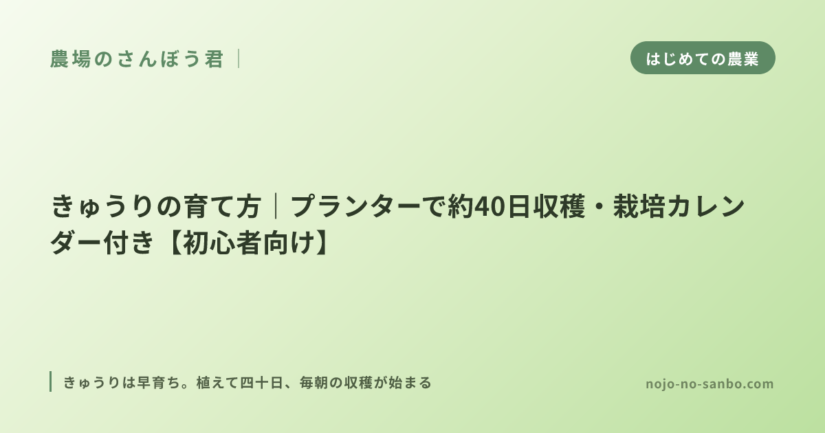 きゅうりの育て方｜プランターで約40日収穫・栽培カレンダー付き【初心者向け】