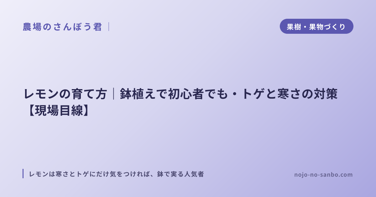 レモンの育て方｜鉢植えで初心者でも・トゲと寒さの対策【現場目線】