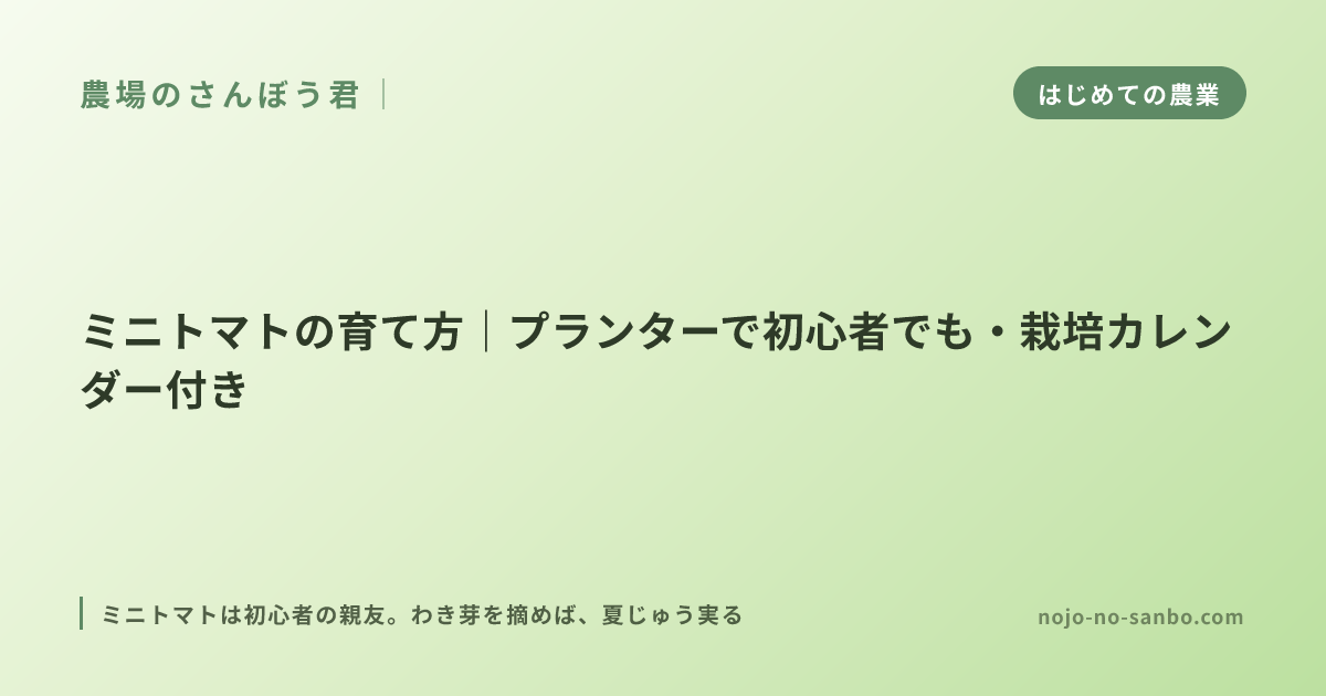 ミニトマトの育て方｜プランターで初心者でも・栽培カレンダー付き