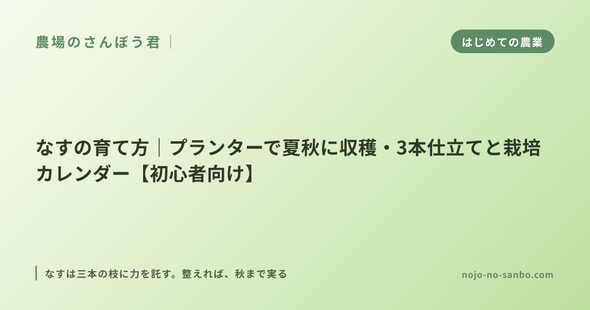 なすの育て方｜プランターで夏秋に収穫・3本仕立てと栽培カレンダー【初心者向け】