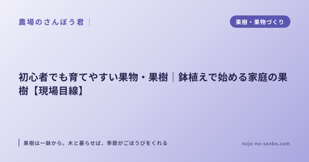 初心者でも育てやすい果物・果樹｜鉢植えで始める家庭の果樹【現場目線】