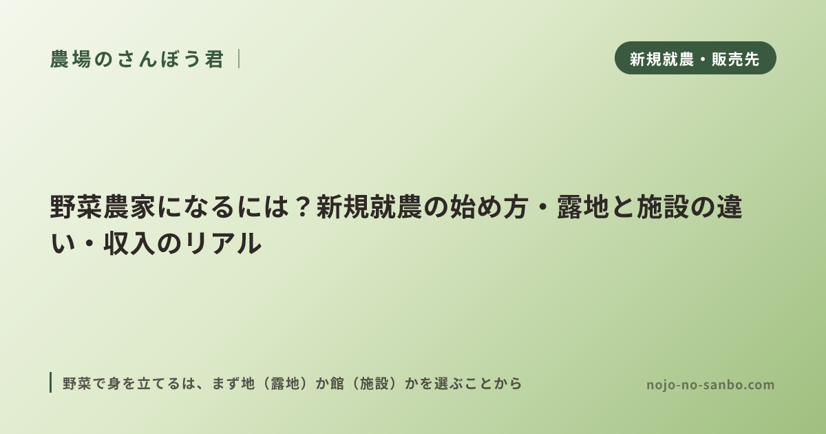 野菜農家になるには？新規就農の始め方・露地と施設の違い・収入のリアル