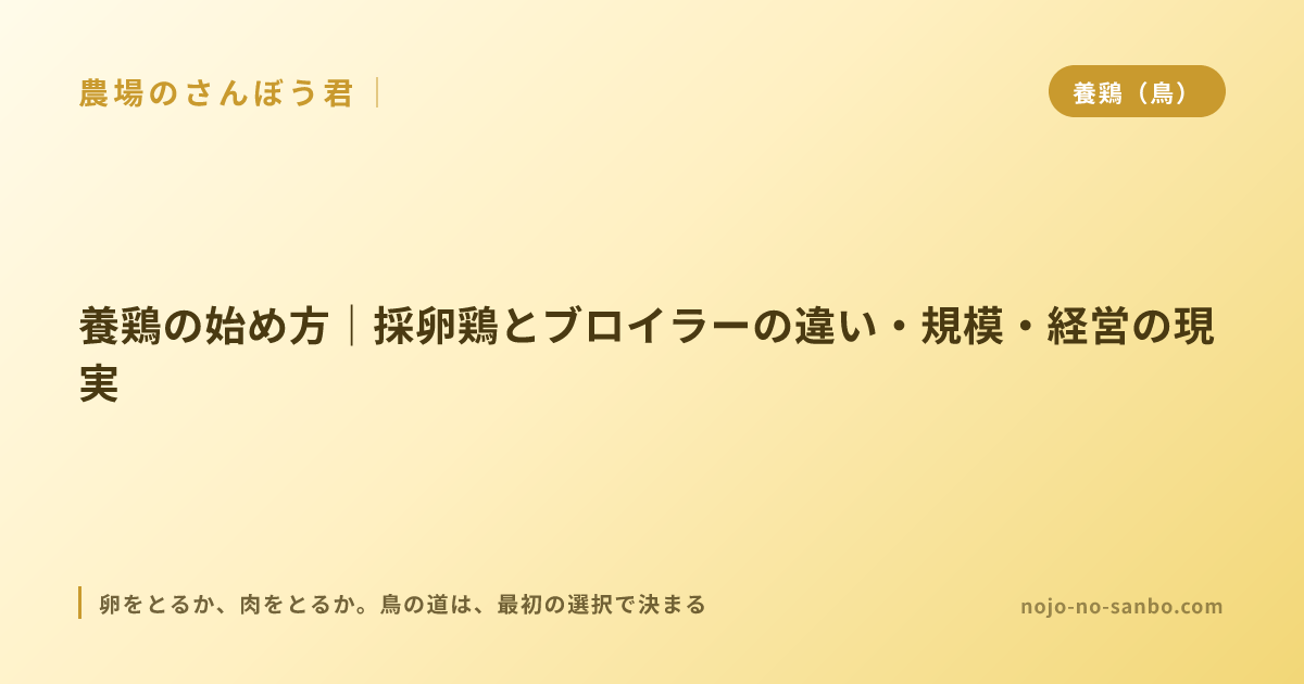 養鶏の始め方｜採卵鶏とブロイラーの違い・規模・経営の現実