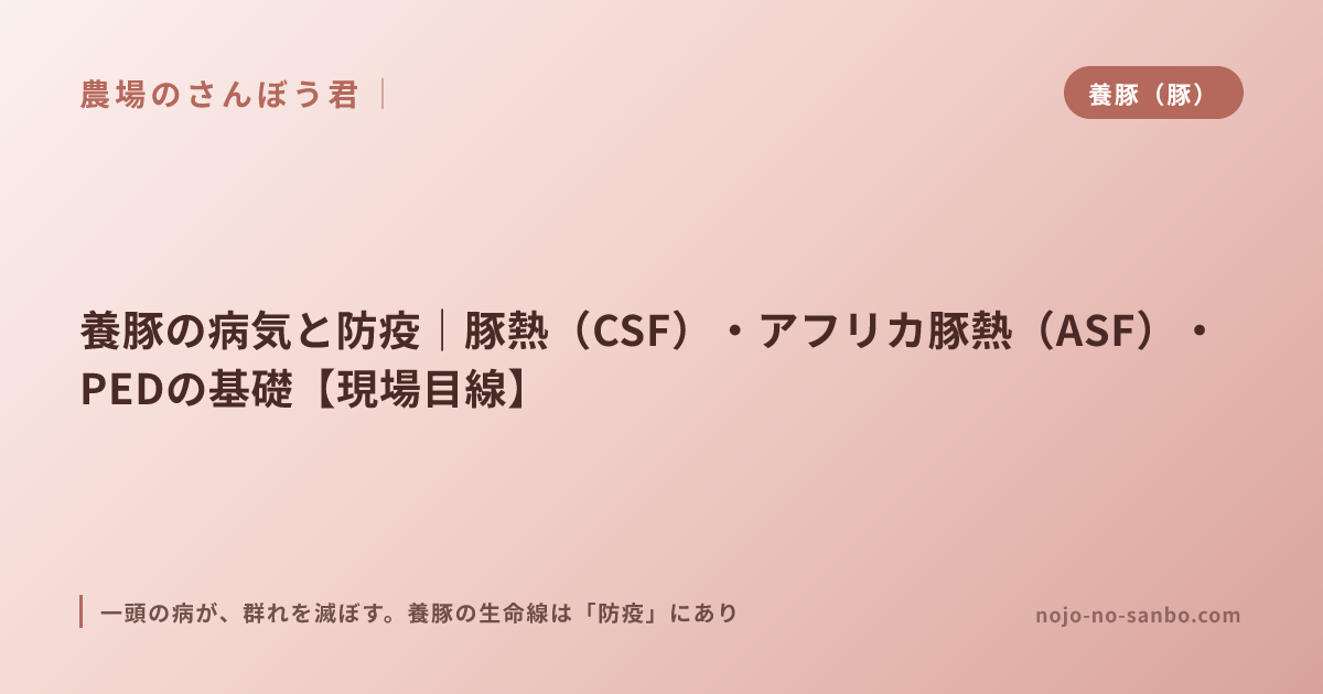 養豚の病気と防疫｜豚熱（CSF）・アフリカ豚熱（ASF）・PEDの基礎【現場目線】