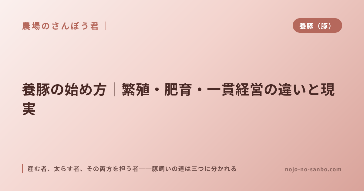 養豚の始め方｜繁殖・肥育・一貫経営の違いと現実