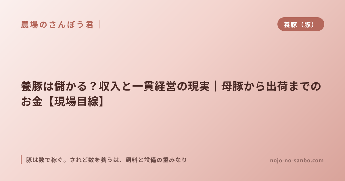 養豚は儲かる？収入と一貫経営の現実｜母豚から出荷までのお金【現場目線】